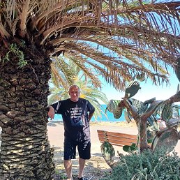 ��������, 64 ����, ��������