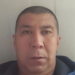 �����, ������, 46 ���