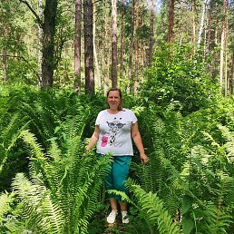 �����, �����������, 44 ����