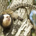 ���� ������, ������ - ��������� 28 ���� 2025 � ������ ������ ��������