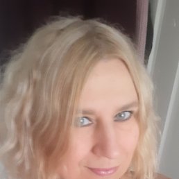 ���� ��������, �����-���������, 56 ��� - ��������� 14 ������ 2026