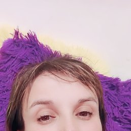 �����, 40 ���, ���������