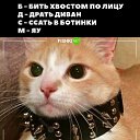 ���� M0tul, ������ ��������, 33 ���� - ��������� 23 ������� 2024