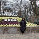 ���� ������, ����������, 57 ��� - ��������� 4 ������� 2025 � ������ ���� ����������