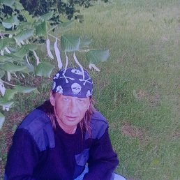 ����, 61 ���, ���������