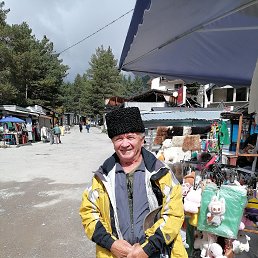 , 65, 