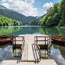 ���� Gerom, ������� - ��������� 25 ���� 2026 � ������ ��������