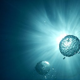 �������, ��������, 53 ����