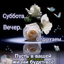 ���� ������, �������� - ��������� 8 ������� 2026 � ������ ������ ��������