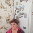 ���� �����, ������� ����� - ��������� 15 ������ 2026 � ������ ���� ����������