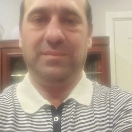 �����, ������, 43 ����