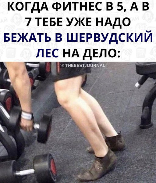 Истерика.Тяги чистый бархат, подходят и для фитнеса и для леса