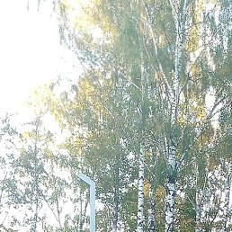 ��������, ����-�������, 69 ���