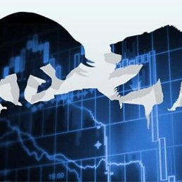 D Jeny, �������