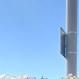 �������, ���������, 67 ���