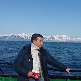 �������, 40 ���, �����