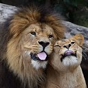 ���� ����, �������, 49 ��� - ��������� 26 ������� 2024 � ������ ���� ����������