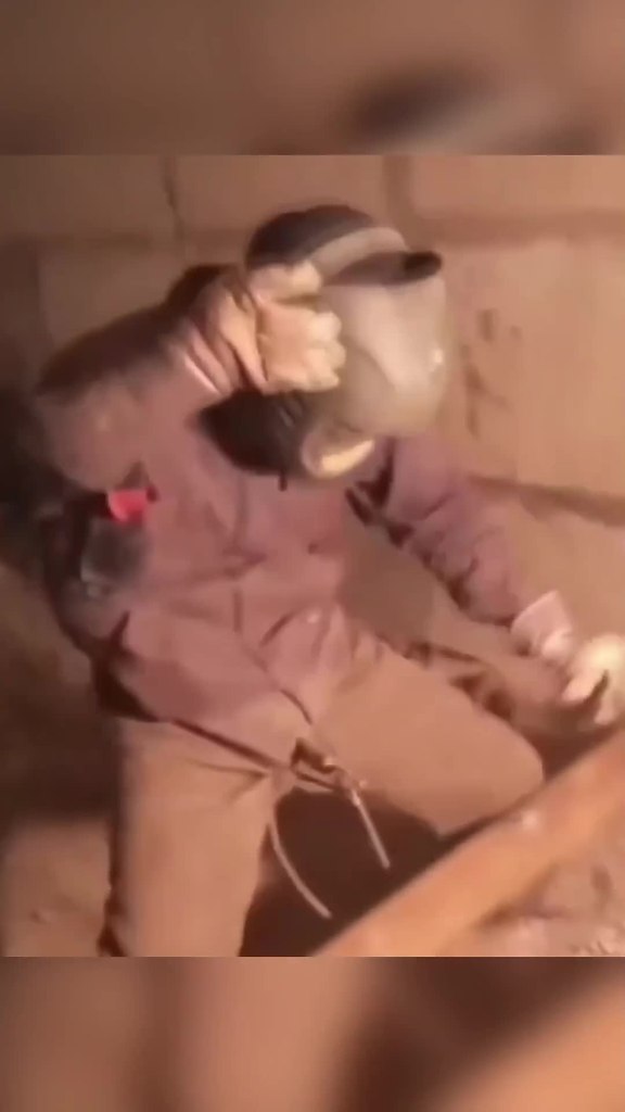 Кот защитил хозяйку - 2