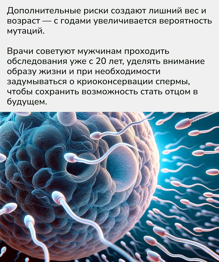      .      ... - 3