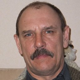 ����������, ��������, 65 ���