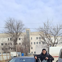 ������, ���������, 36 ���