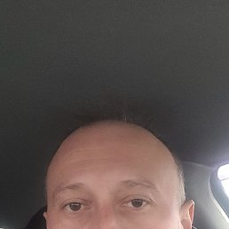 , 41, 