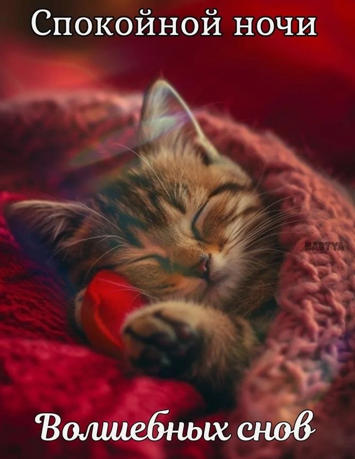   ,    . - 4  2025  21:02