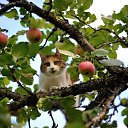 ���� ������, �������������-���������� - ��������� 17 ������ 2025 � ������ ������ ��������