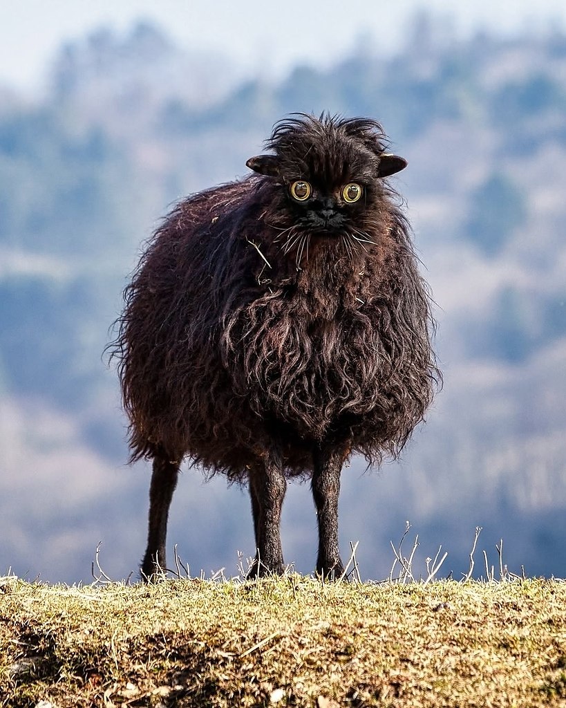 �����������, ���� �������� ������� ������� � ���� ������ � ��������� ������ - 6