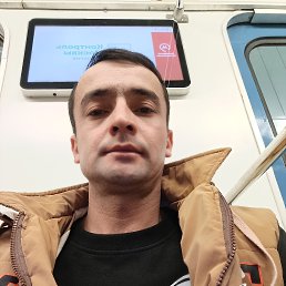 ������, 37 ���, ������