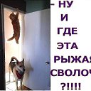 ���� ������, ����� - ��������� 31 ������ 2026 � ������ ���� ����������