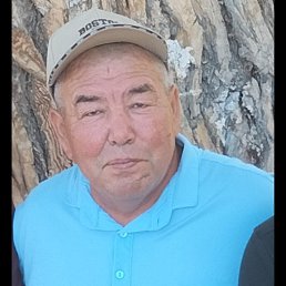 , 61, 