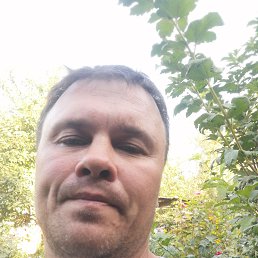 , 41, 