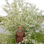 ����, , ���������