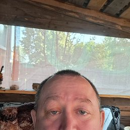 , 46, 