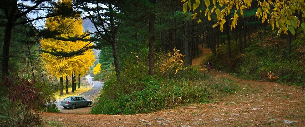 ����� ���������� / Eojjeolsugaeopda, 2025.dir. Park Chan-wook - 5