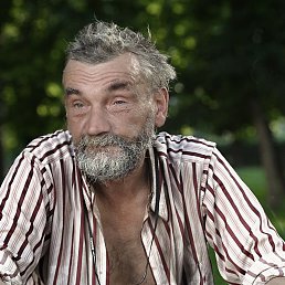 , 53, 