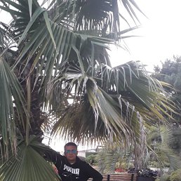 �����, ����, 44 ����