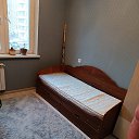 ���� �������, �����, 46 ��� - ��������� 1 ������ 2024 � ������ ���� ����������