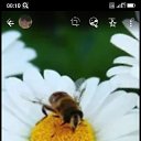  , --, 58  -  3  2024    