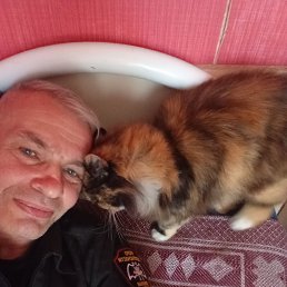 , 56 , -