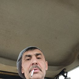 �����, 51 ���, ���������