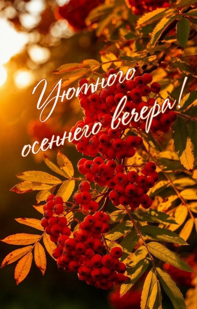  - 22  2025  23:16