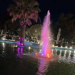 Nikola, ��������, 42 ����