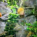  ,  -  14  2025   09.052025.