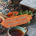 ���� ����, ����������� - ��������� 14 ���� 2026 � ������ ������ ��������