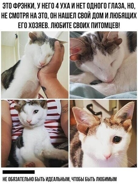 ☆����� � �������� �������☆ - 11 ����� 2025 � 00:17