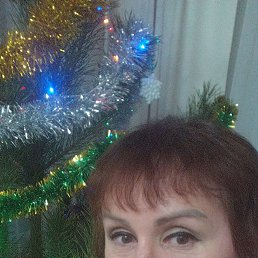 ����������, 43 ����, ���������