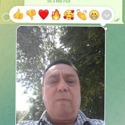 ���� ������, �����, 61 ��� - ��������� 25 ������ 2024