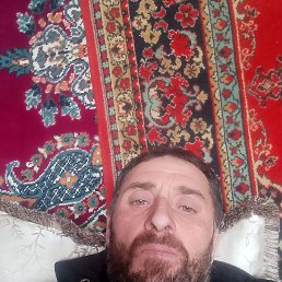 ������, 42 ����, ���������